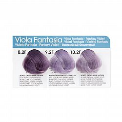 FANOLA COLOR ΒΑΦΗ ΜΑΛΛΙΩΝ 10.2F ΞΑΝΘΟ ΠΛΑΤΙΝΕ ΒΙΟΛΕ 100ml