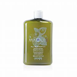 ECHOSLINE MAQUI3 ALL IN SHAMPOO 385ml