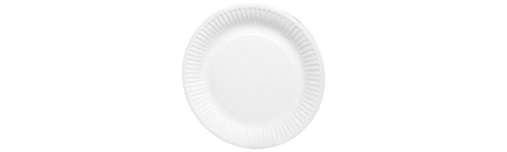 Disposable Plates (Wholesale)