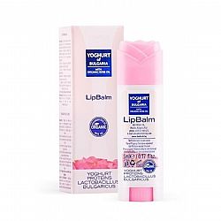BIOFRESH YOGHURT OF BULGARIA LIP BALM ΕΝΥΔΑΤΙΚΟ ΣΤΙΚ ΧΕΙΛΙΩΝ ΜΕ ΠΡΟΒΙΟΤΙΚΑ & ΒΙΟΛΟΓΙΚΟ ΡΟΔΕΛΑΙΟ 5ml