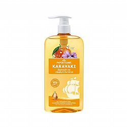 PAPOUTSANIS KARAVAKI ΣΑΜΠΟΥΑΝ ΓΙΑ ΛΑΜΨΗ & ΖΩΝΤΑΝΙΑ 600ml