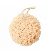 Sponges & Body Brushes