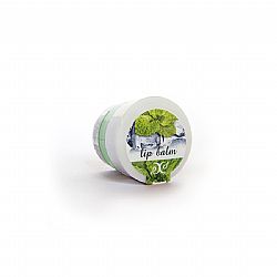 HRISTINA COSMETICS LIP BALM MINT 100% ΦΥΣΙΚΟ LIP BALM ΜΕ ΓΕΥΣΗ ΜΕΝΤΑ ΓΙΑ ΒΑΘΙΑ ΕΝΥΔΑΤΩΣΗ & ΑΝΑΖΩΟΓΟΝΗΣΗ 30ml