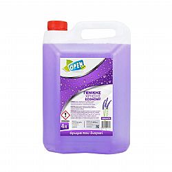 OPEN CARE ECONOMY GENERAL USE LIQUID CLEANER LEVANTA 4lt