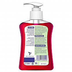 DETTOL CRANBERRY CREAM SOAP PUMP 250ml